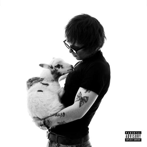 First Day In Therapy