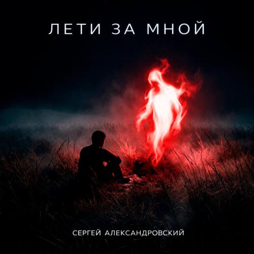 Лети за мной