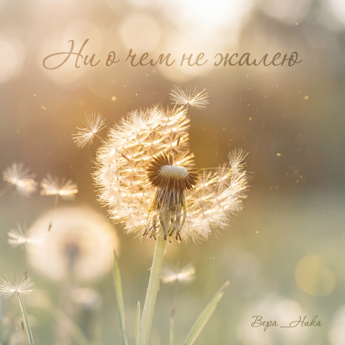 Ни о чем не жалею