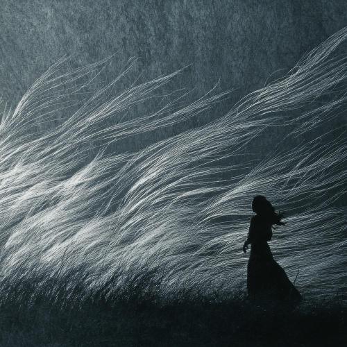 Ветра и туманы