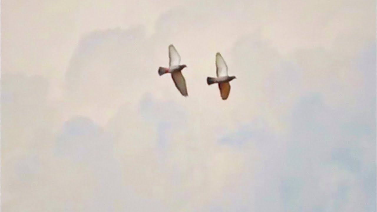 Нас Всегда Было Двое