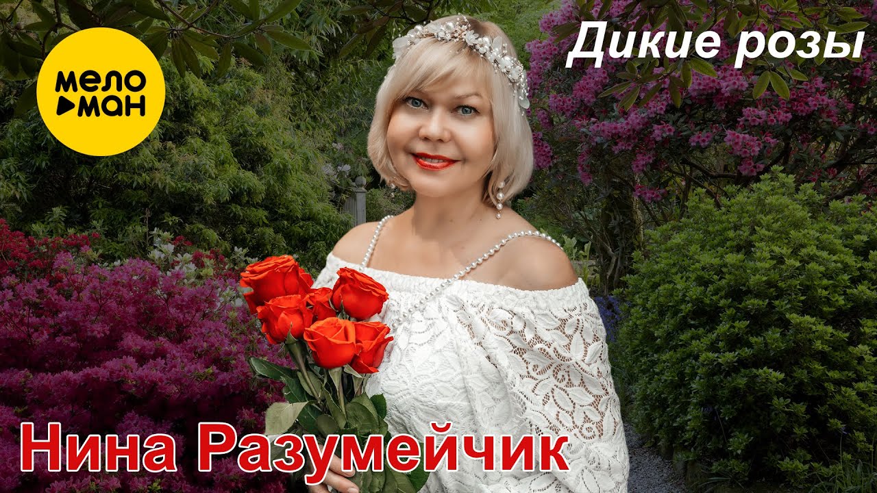 Дикие розы