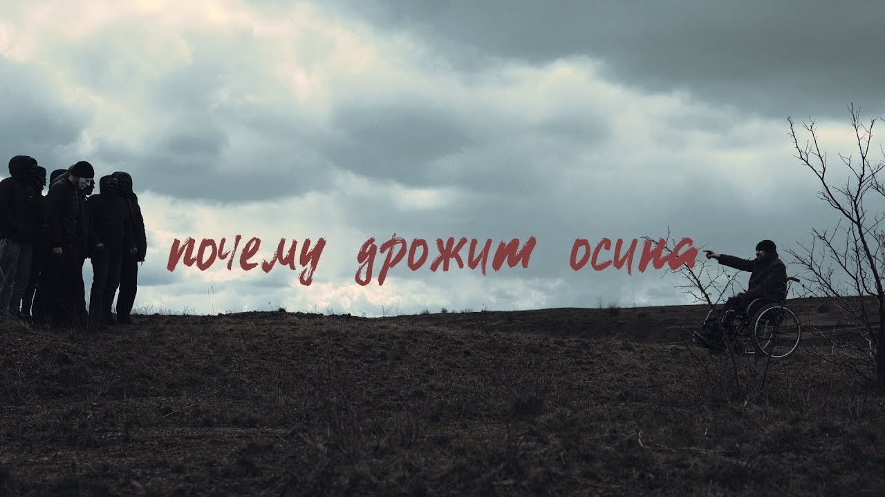 Почему дрожит осина